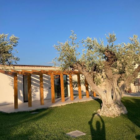 Agriturismo Baglio San Nicola Naro 외부 사진